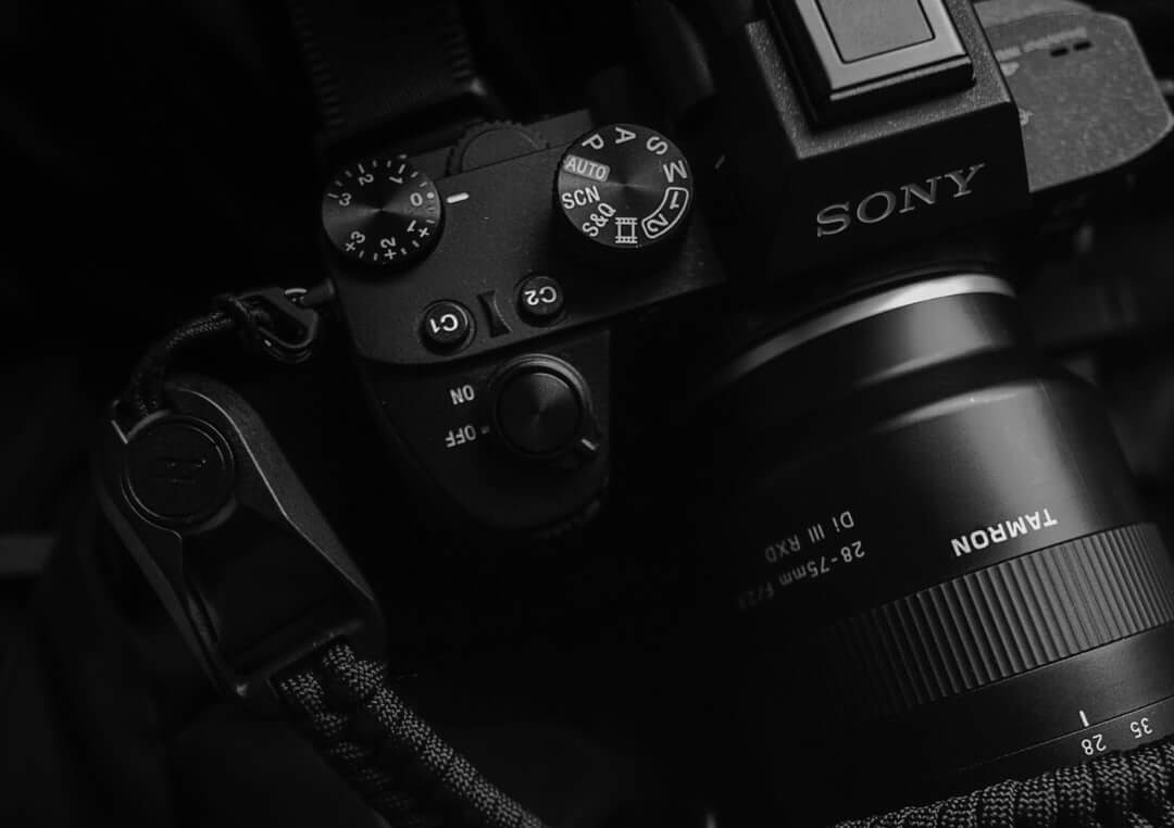 Which Camera Will Survive? Sony a1, Nikon Z9 and Canon R3